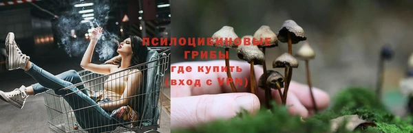гашишное масло Болотное