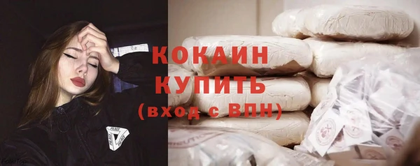 индика Болохово