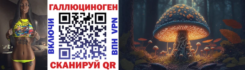 даркнет Telegram  Трубчевск  Галлюциногенные грибы Psilocybine cubensis 